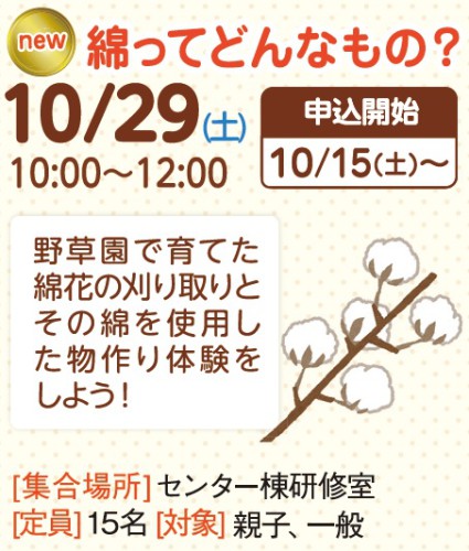 綿ってどんなもの？【受付終了】