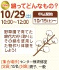綿ってどんなもの？【受付終了】