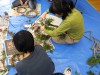 満喫自然体験「リースづくり」【受付終了】
