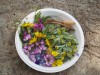 おままごとでお母さんになってみよう～草花の花束をお母さんにプレゼント～