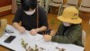 綿ってどんなもの？【受付終了】