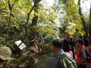 満喫自然体験「ノルディック・ウォークでセンターを縦走（秋編）」【受付終了】