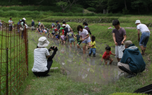 満喫自然体験「たんぼ体験（田植え）」