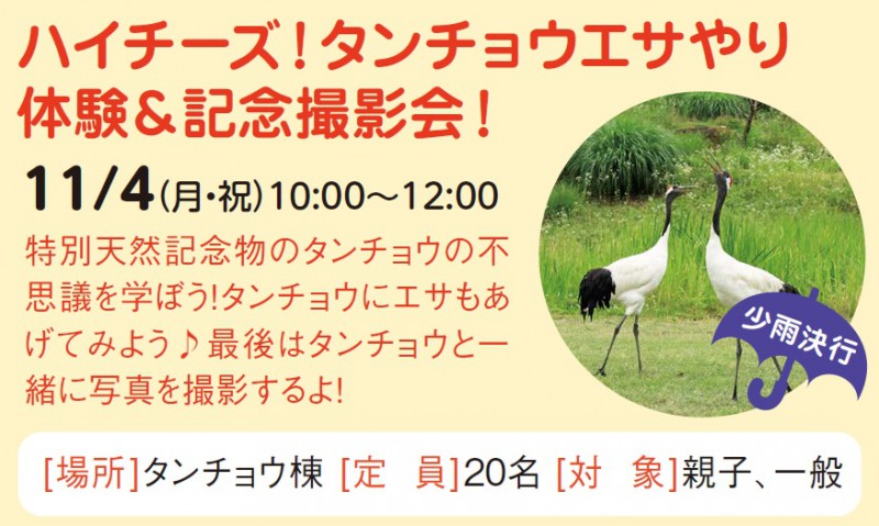 ハイチーズ！タンチョウエサやり体験＆記念撮影会！