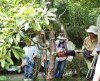 社会人大学 生物学部「昆虫学科」（全5回）