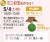 ミニ杉玉を作ろう！【受付終了】