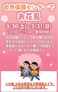 自然保護センターでお花見