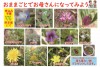 おままごとでお母さんになってみよう～草花の花束をお母さんにプレゼント～