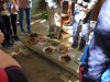 自然学習リーダー養成講座（全7回）【受付終了】