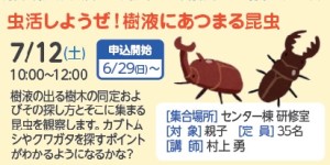 虫活しようぜ！樹液にあつまる昆虫【受付終了】