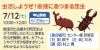 虫活しようぜ！樹液にあつまる昆虫【受付終了】