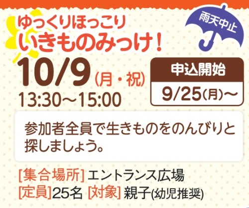 ゆっくりほっこりいきものみっけ！