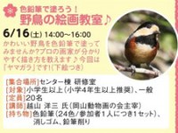 色鉛筆で塗ろう！野鳥の絵画教室♪