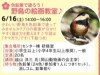 色鉛筆で塗ろう！野鳥の絵画教室♪