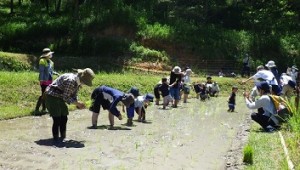 体験イベント「田植えをしましょう」【受付終了】