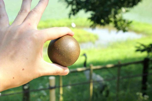 土と触れあおう！究極の輝く泥団子つくり