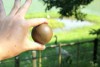 ～岡山大学教授が本気で教える～ガチンコ輝く泥団子作り