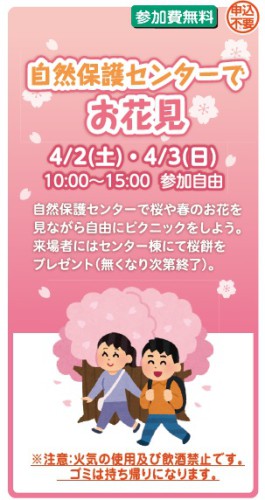 自然保護センターでお花見