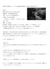 岡山県自然保護センター友の会現地集合観察会「紅葉の白賀渓谷を歩こう」【受付終了】