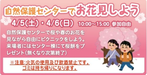 自然保護センターでお花見しよう