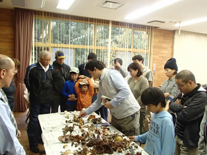 満喫自然体験「きのこの見分け方」