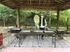 生きもの祭り～生きものふれあい体験～