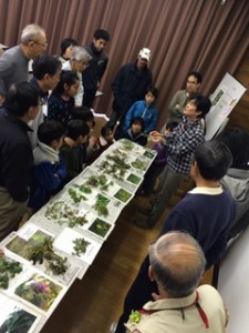 満喫自然体験「春の七草」