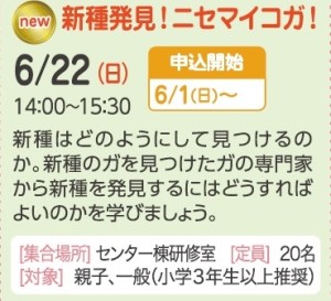 新種発見！ニセマイコガ！