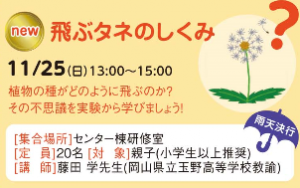 飛ぶタネのしくみ