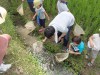 水の中の生きもの探しまくり！