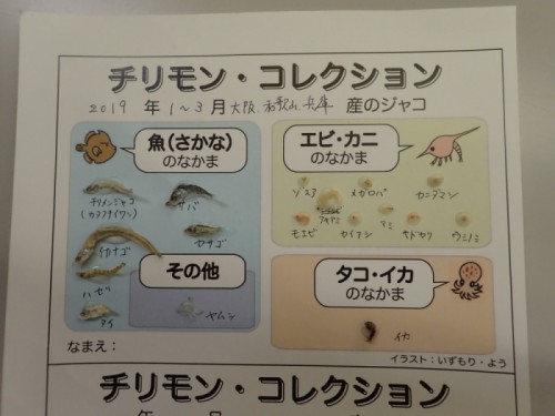 チリメンモンスターを探せ！