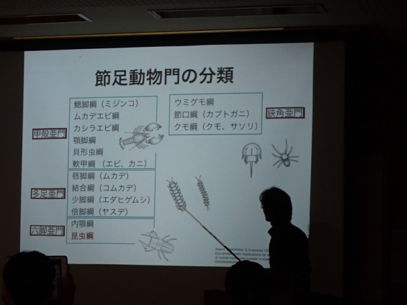 社会人大学 生物学部「昆虫学科」（全5回）
