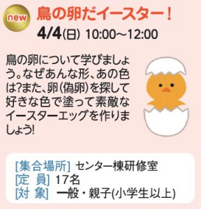 鳥の卵だイースター！