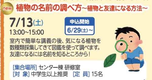 植物の名前の調べ方～植物と友達になる方法～