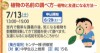 植物の名前の調べ方～植物と友達になる方法～