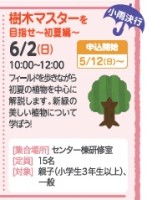 樹木マスターを目指せ～初夏編～