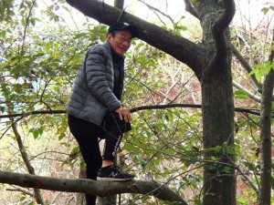 山の緑は土砂災害を防げるか？