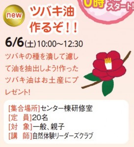 ツバキ油　作るぞ！！