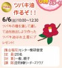 ツバキ油　作るぞ！！