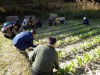 SDGs　Ｌｅｔ‘ｓ持続可能な栽培