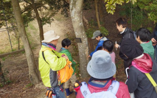 初心者のための自然観察会「フィールドサインを探せ！」