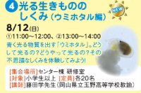 光る生きもののしくみ（ウミホタル編） 11:00～