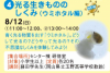 光る生きもののしくみ（ウミホタル編）13:00～