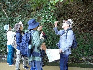 里山の樹木マスターをめざせ！～春編～