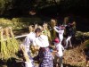 もちろん鎌で稲刈りだ