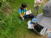 レンズで見よう生きものたち！【受付終了】