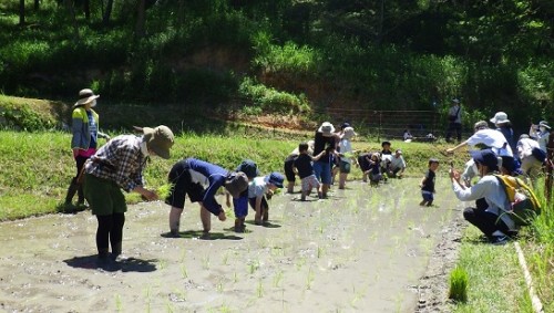 体験イベント「田植えをしましょう」【受付終了】