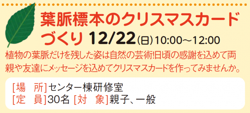 葉脈標本のクリスマスカードづくり