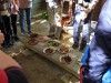 自然学習リーダー養成講座（全7回）
