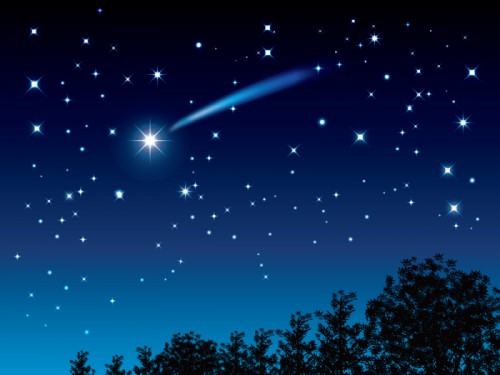 星空観測会「3大流星群！ふたご座流星群」